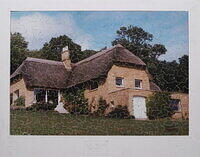 FRYING PAN COPSE.jpg