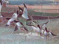 oyster catchers (Detail 1).jpg