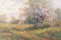 FRUIT BLOSSOM 001.jpg