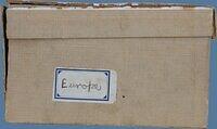 Europe (Box 2).JPG