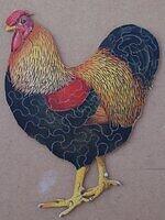 Cockerel (Early).JPG