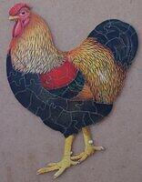 Cockerel (Later).JPG