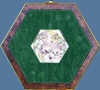 Hedgehogs (Guide).JPG