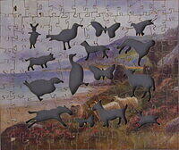 THE PASTURE BY THE SEA 003.jpg