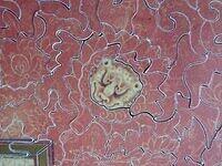 Le jardin de Husain Baikara (Detail 2).jpg