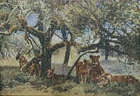 THE DISTURBED SIESTA 001.jpg