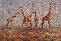 ON THE PLAINS OF KENYA.jpg