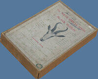 Avenues of Jacaranda (Box 2).JPG