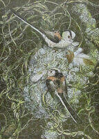 Long-Tailed Tits.jpg