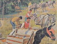 The Orange Crop (Detail 2)