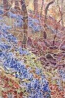 A Forest Glade (Detail 2).JPG