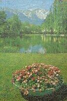 Foto-Puchberg am Schneeberg.JPG