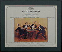 BRIDGE PROBLEMS BOX.jpg