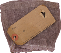 ANIMALS AT THE ZOO NO.26 B.png