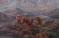 HIGHLAND CATTLE & FISHING ON THE LOCH 1.jpg