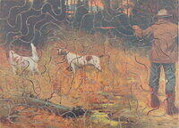 In the Backwoods.JPG