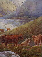 HIGHLAND CATTLE + GONE TO EARTH 002.jpg