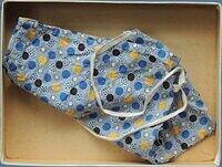 Flower Studies-Roses (Bag).JPG