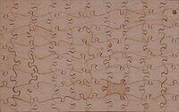 UNTITLED-SUNBEAM (BACK).jpg