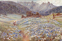 JUNE IN THE AUSTRIAN TYROL.jpg