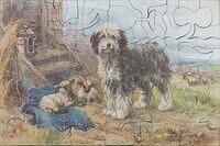 Guardian of the Flock.JPG