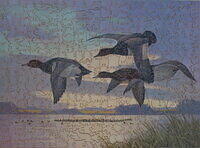 HEADING SOUTH (WILD DUCK).jpg