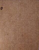 THE LITTLE FAVOURITE (REVERSE).JPG