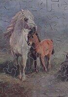 AT HOME IN THE SHETLANDS (DETAIL 1).JPG