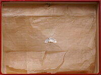 VILLA LAKE (BOX-INNER).jpg