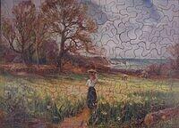 DAFFODILS OF SCILLY 2.JPG