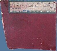 DAFFODILS OF SCILLY (LABEL).JPG