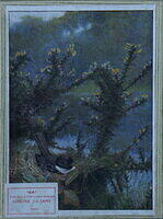 UNTITLED-BIRD IN NEST (BOX).jpg