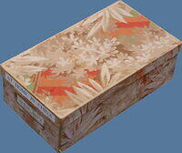 At Home in China (Box).JPG