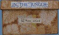 In the Jungle (Label 1).JPG