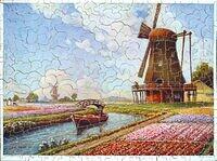 le champ de tulipes.jpg