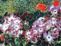 MENTON (DETAIL 1).jpg