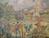 BURMESE RICE PLANTERS 001.jpg