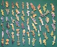 GORGEOUS AUTUMN (LANDSCAPE)-(FIGURALS).jpg