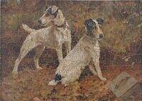 READY FOR ANYTHING.jpg