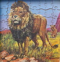 WILD ANIMAL-LION 001.jpg