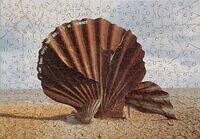 Wentworth Scallop 250 pieces.jpg