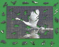 Swan (Separate Figurals).JPG