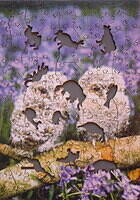 YOUNG TAWNY OWLS 003.jpg