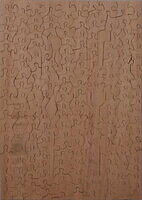 UNTITLED-THE RECITAL (REVERSE) .JPG